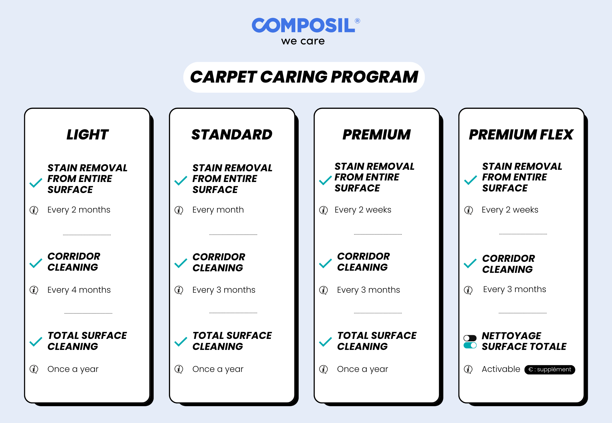 carpet cleaning program 