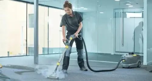 steam cleaner