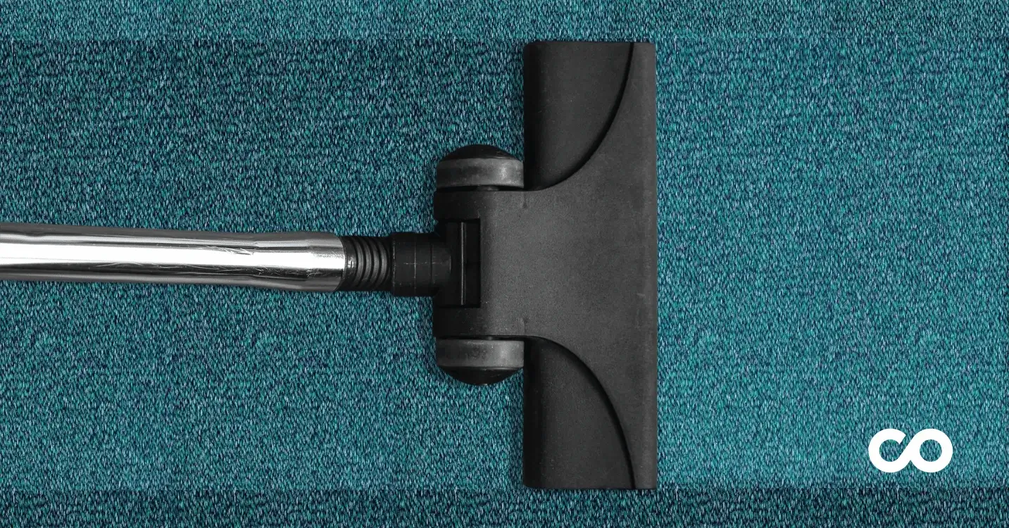 Carpet cleaner vacuum:  is it sufficient for maintenance?