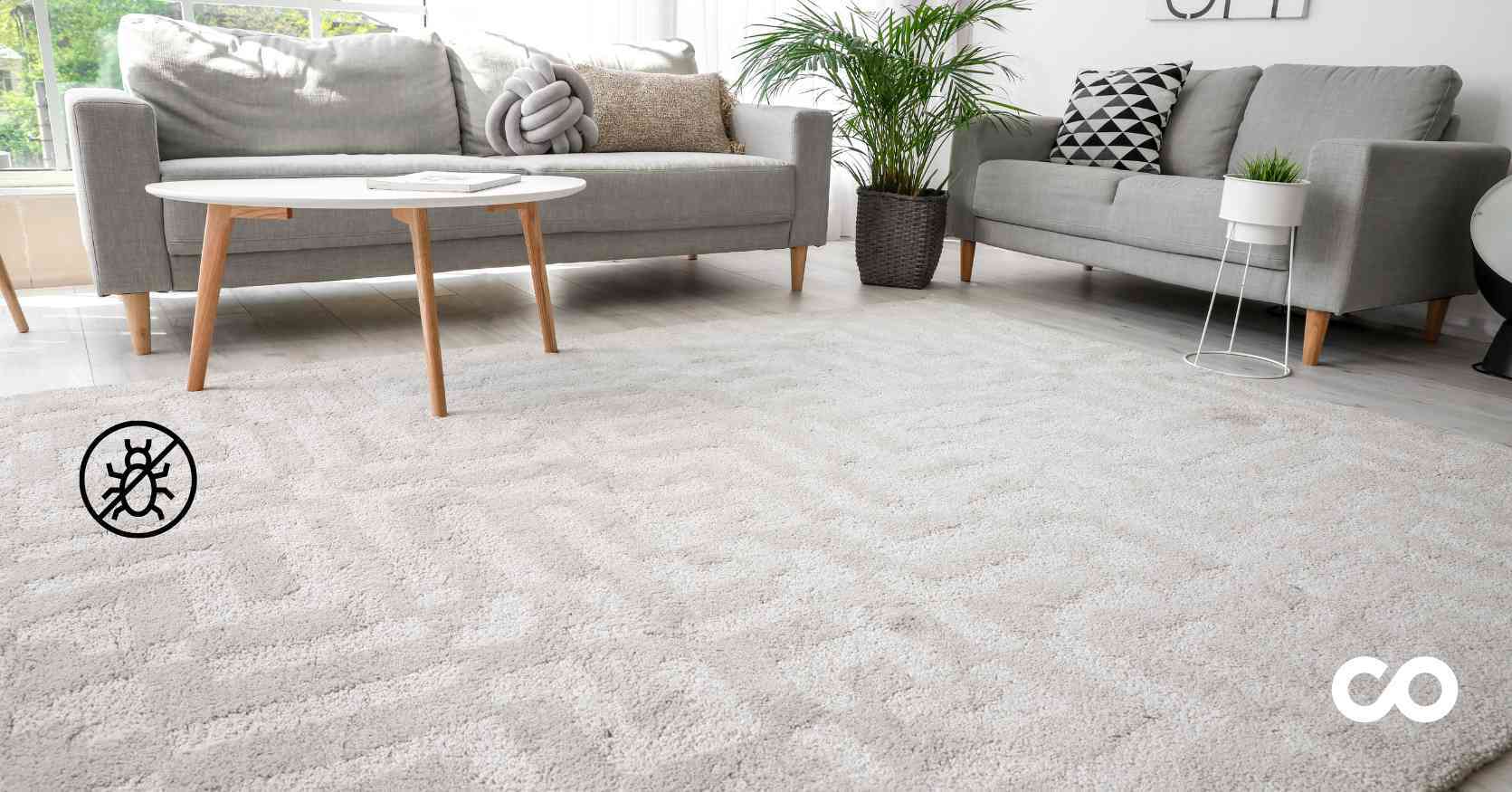 anti-dust-mite carpet